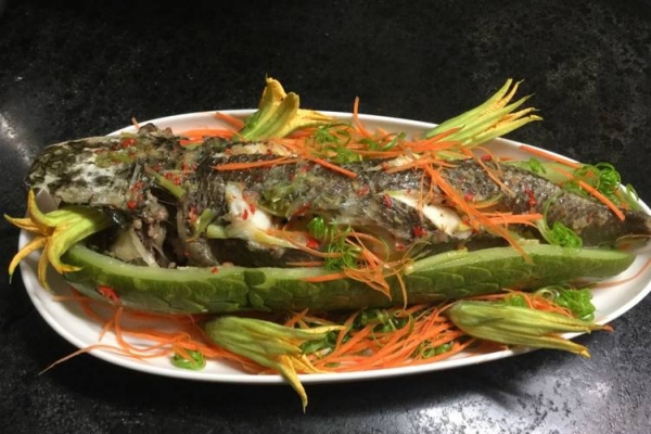 Tuyệt chiêu chế biến cá quả hấp bầu thơm ngon độc đáo